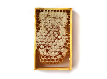 Рамка з медом (міні)
 